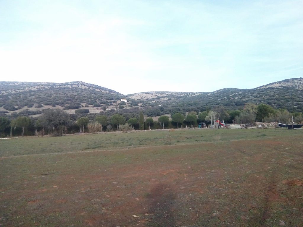 WhatsApp Image 2024-05-21 at 10.34.26 (1)