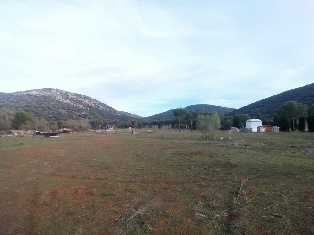 WhatsApp Image 2024-05-21 at 10.34.26 (2)