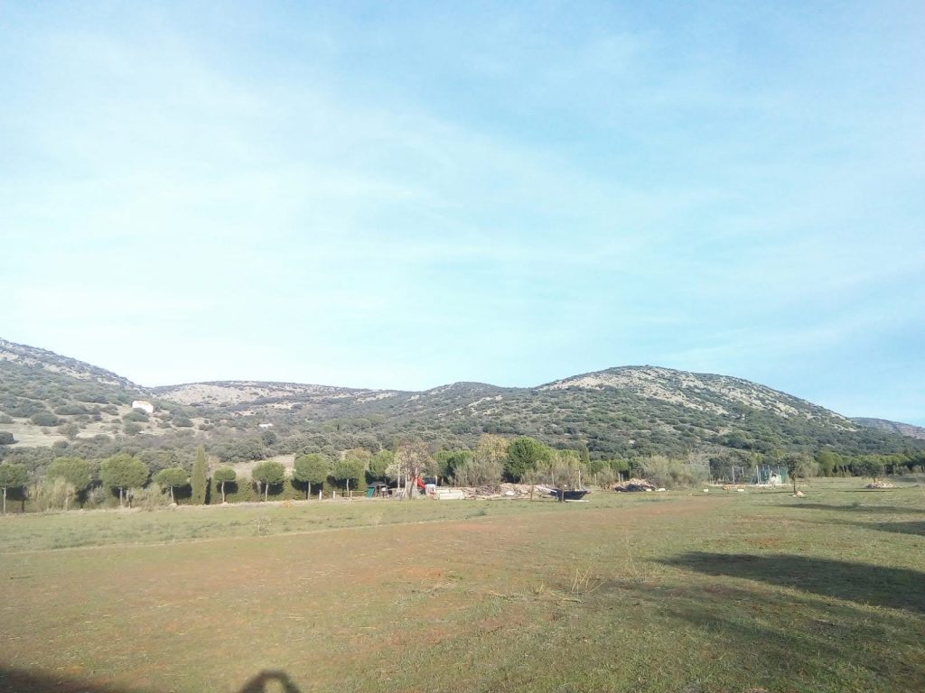 WhatsApp Image 2024-05-21 at 10.34.26 (3)