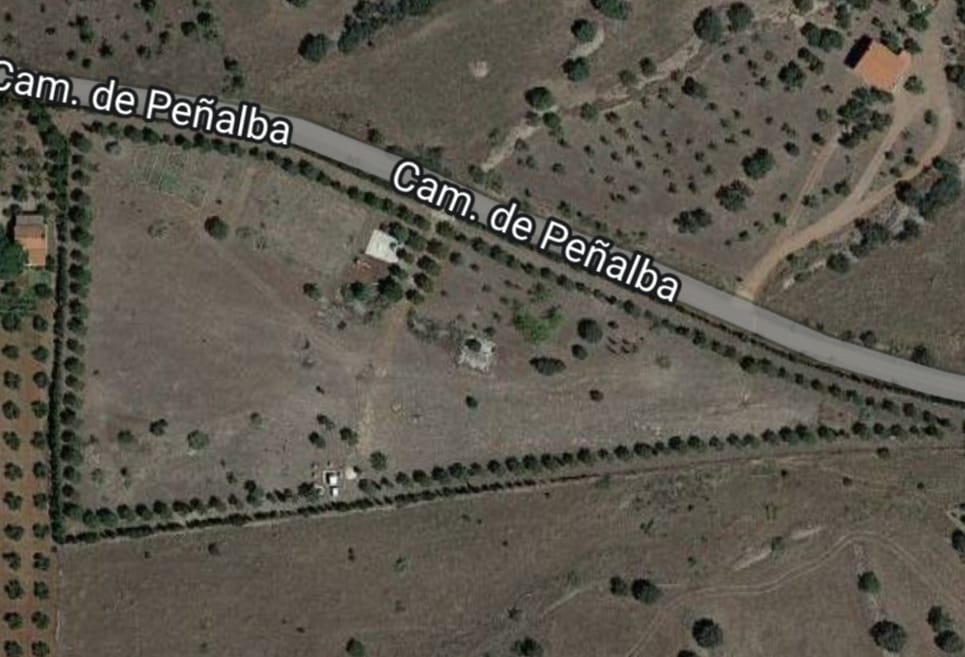 WhatsApp Image 2024-05-21 at 10.34.26 (4)