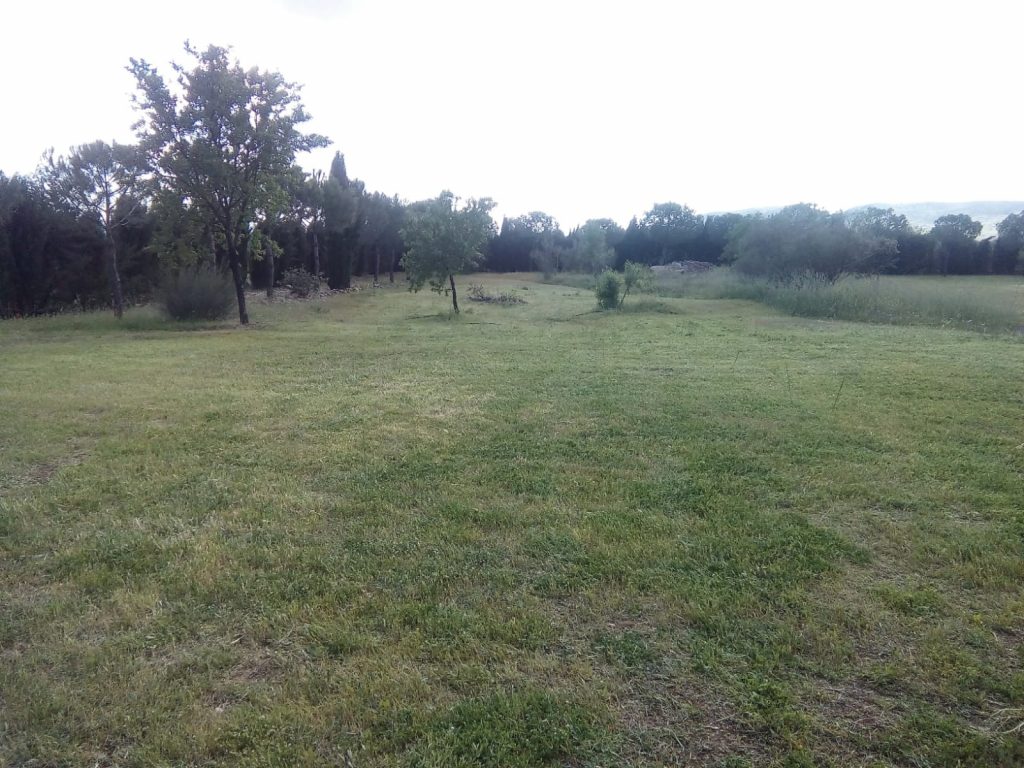 WhatsApp Image 2024-05-21 at 10.34.27 (1)