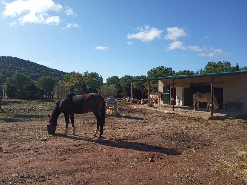 WhatsApp Image 2024-05-21 at 10.34.27