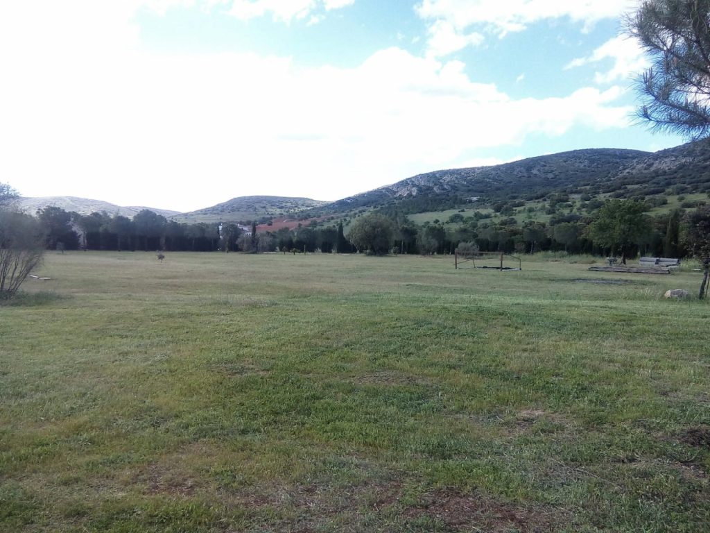 WhatsApp Image 2024-05-21 at 10.34.27 (2)