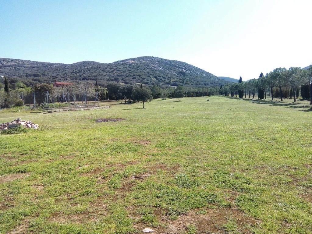 WhatsApp Image 2024-05-21 at 10.34.27 (3)