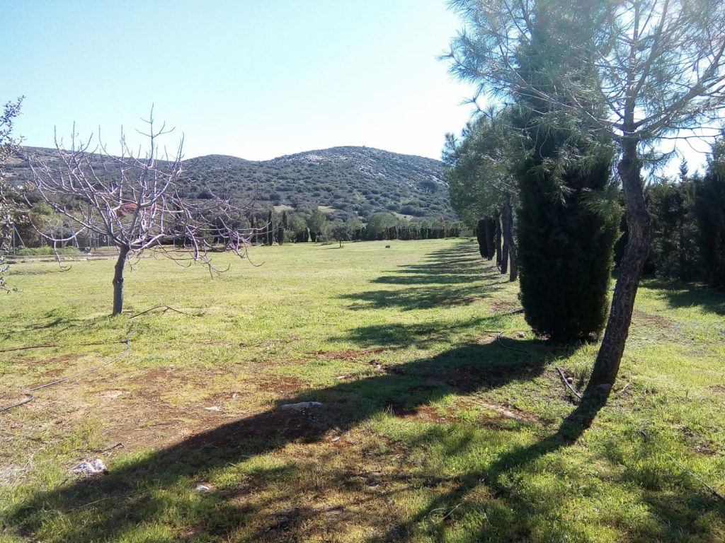 WhatsApp Image 2024-05-21 at 10.34.27 (4)