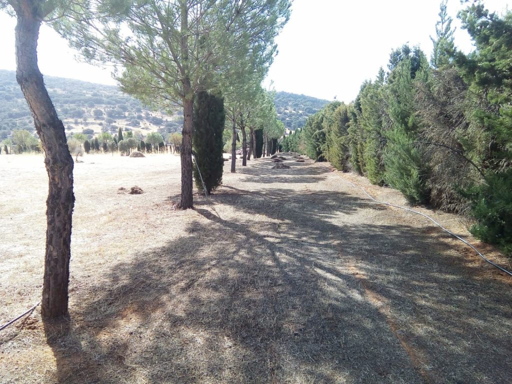 WhatsApp Image 2024-05-21 at 10.34.28 (1)