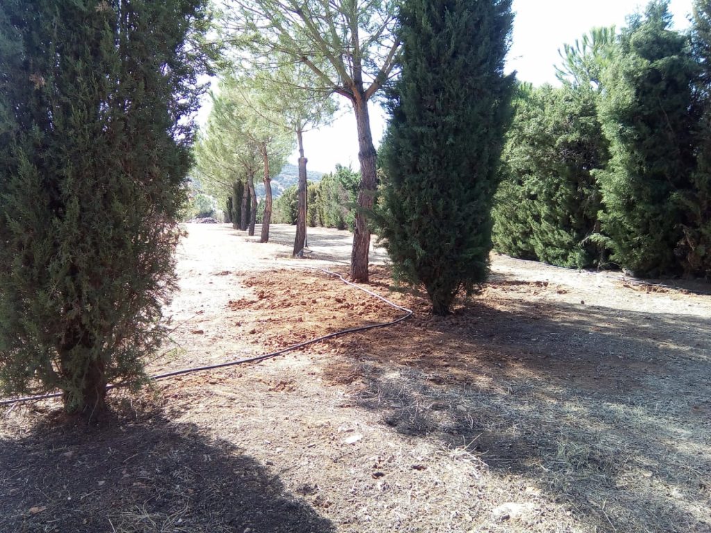 WhatsApp Image 2024-05-21 at 10.34.28